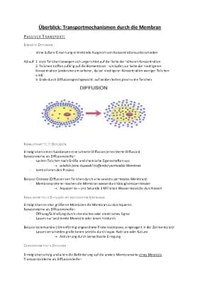 Know Transportmechanismen der Biomembran  thumbnail