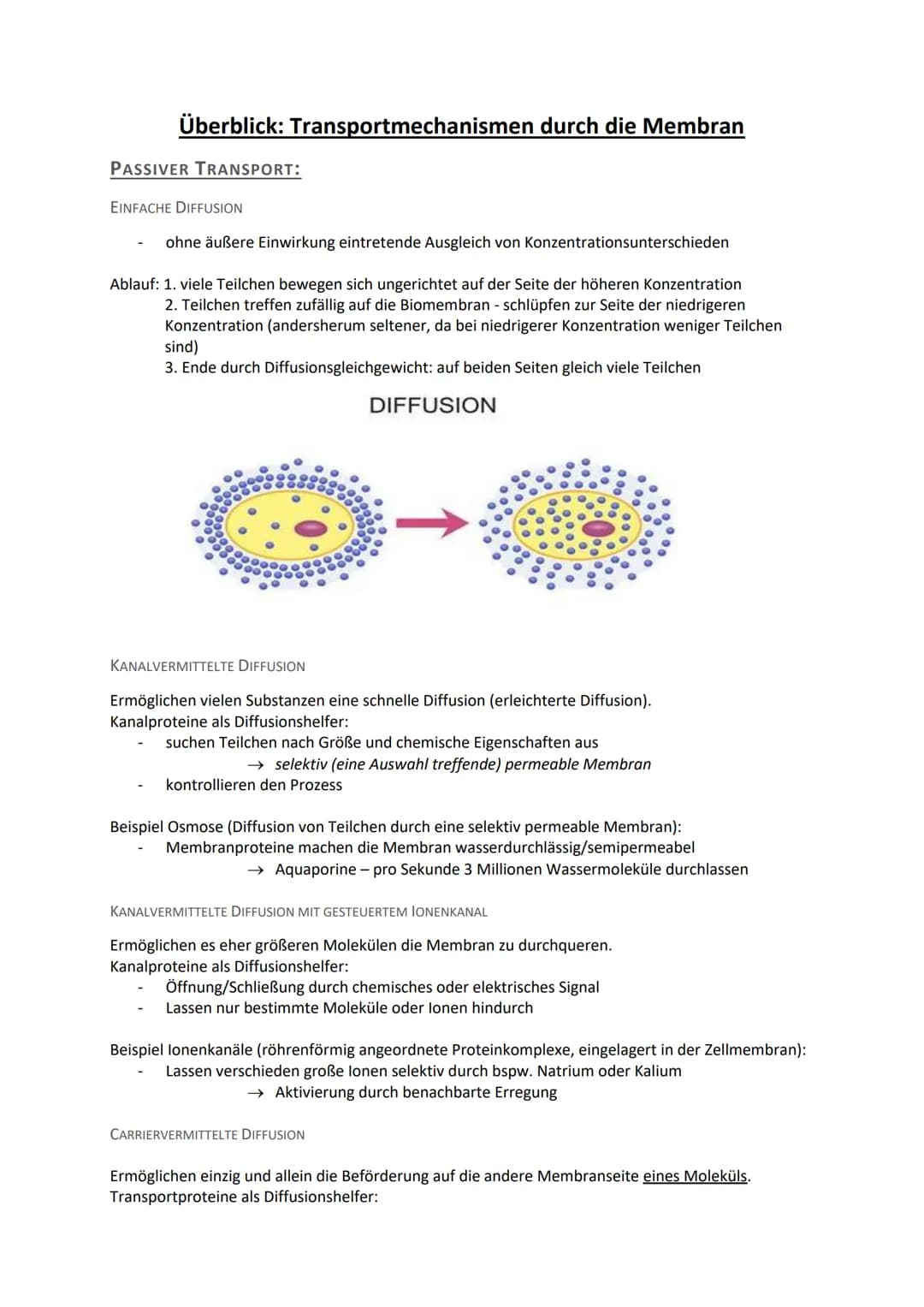 Überblick: Transportmechanismen durch die Membran
PASSIVER TRANSPORT:
EINFACHE DIFFUSION
ohne äußere Einwirkung eintretende Ausgleich von Ko