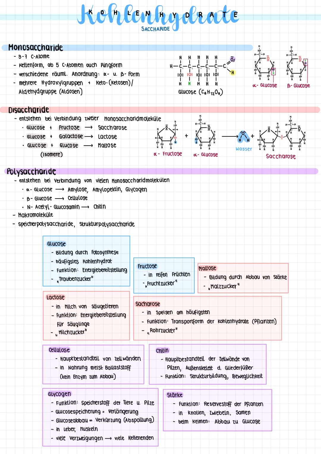 1.2
biomoleküle WICHTIGSTE ORGANISCHE MOLEKÜLGRUPPEN IN ORGANISMEN
Verbindung
Lipide (Fette)
Kohlenhydrate
Proteine (Eiweiße)
Nucleinsäuren
