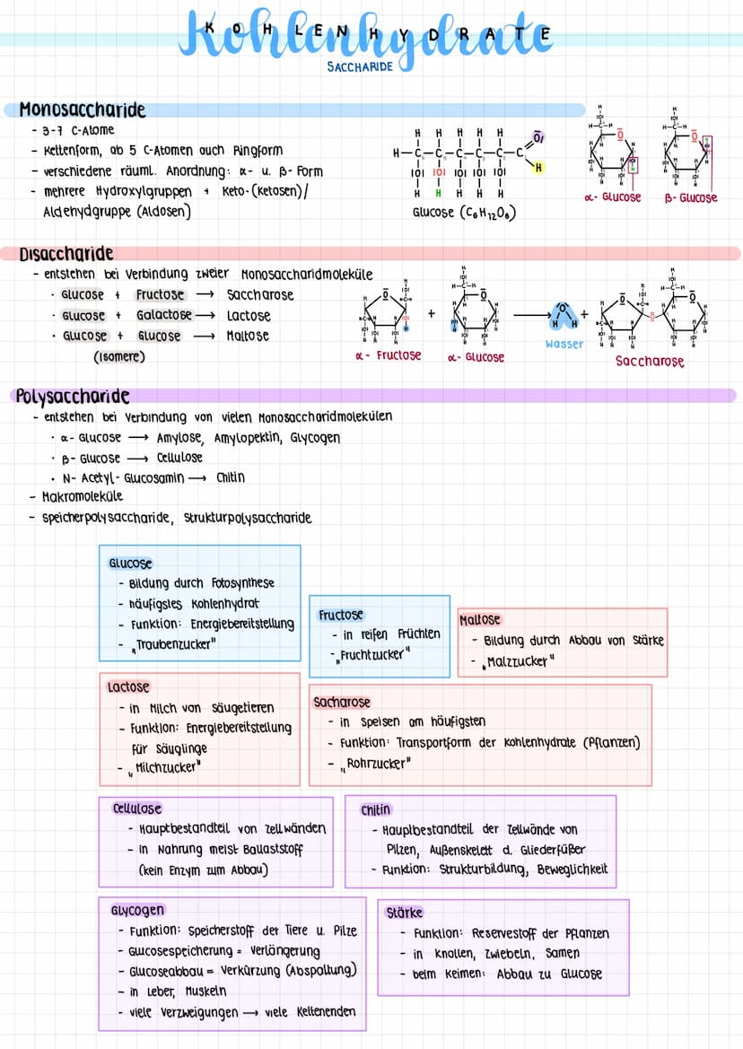 1.2
biomoleküle WICHTIGSTE ORGANISCHE MOLEKÜLGRUPPEN IN ORGANISMEN
Verbindung
Lipide (Fette)
Kohlenhydrate
Proteine (Eiweiße)
Nucleinsäuren
