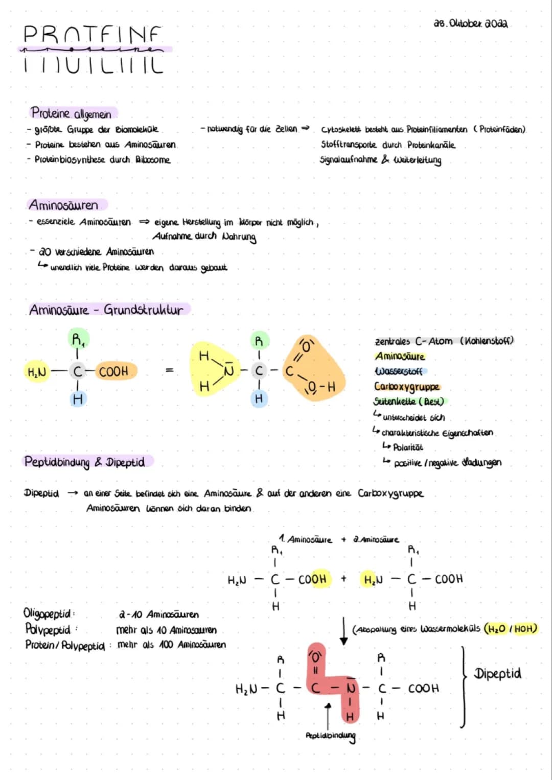 Proteine & Aminosäuren 