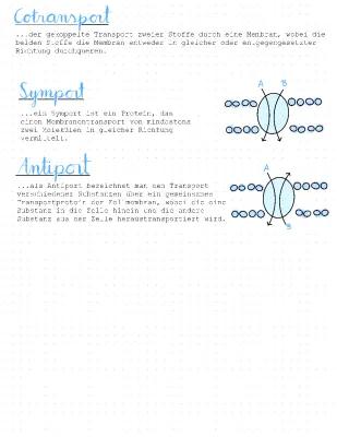 Know Cotransport, Symport & Antiport thumbnail