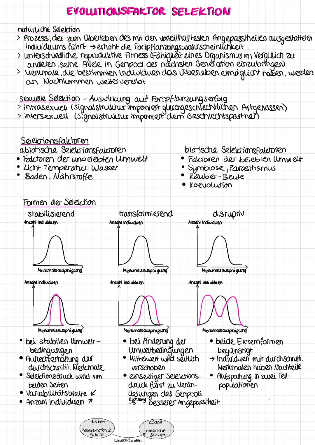 Evolutionsfaktor Selektion, Selektionsformen (Evolution)