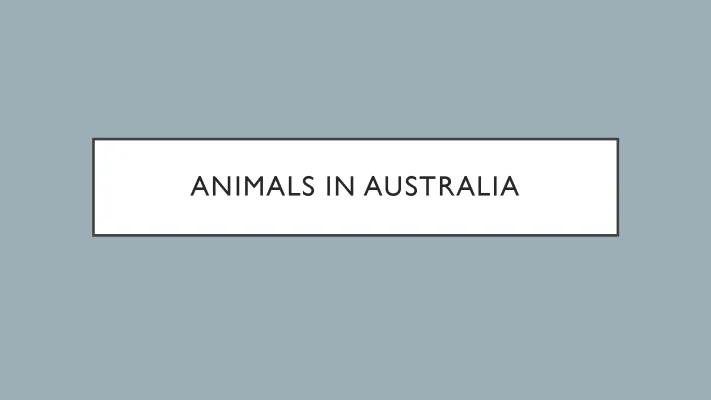 Know Tiere in Australien [EN] thumbnail