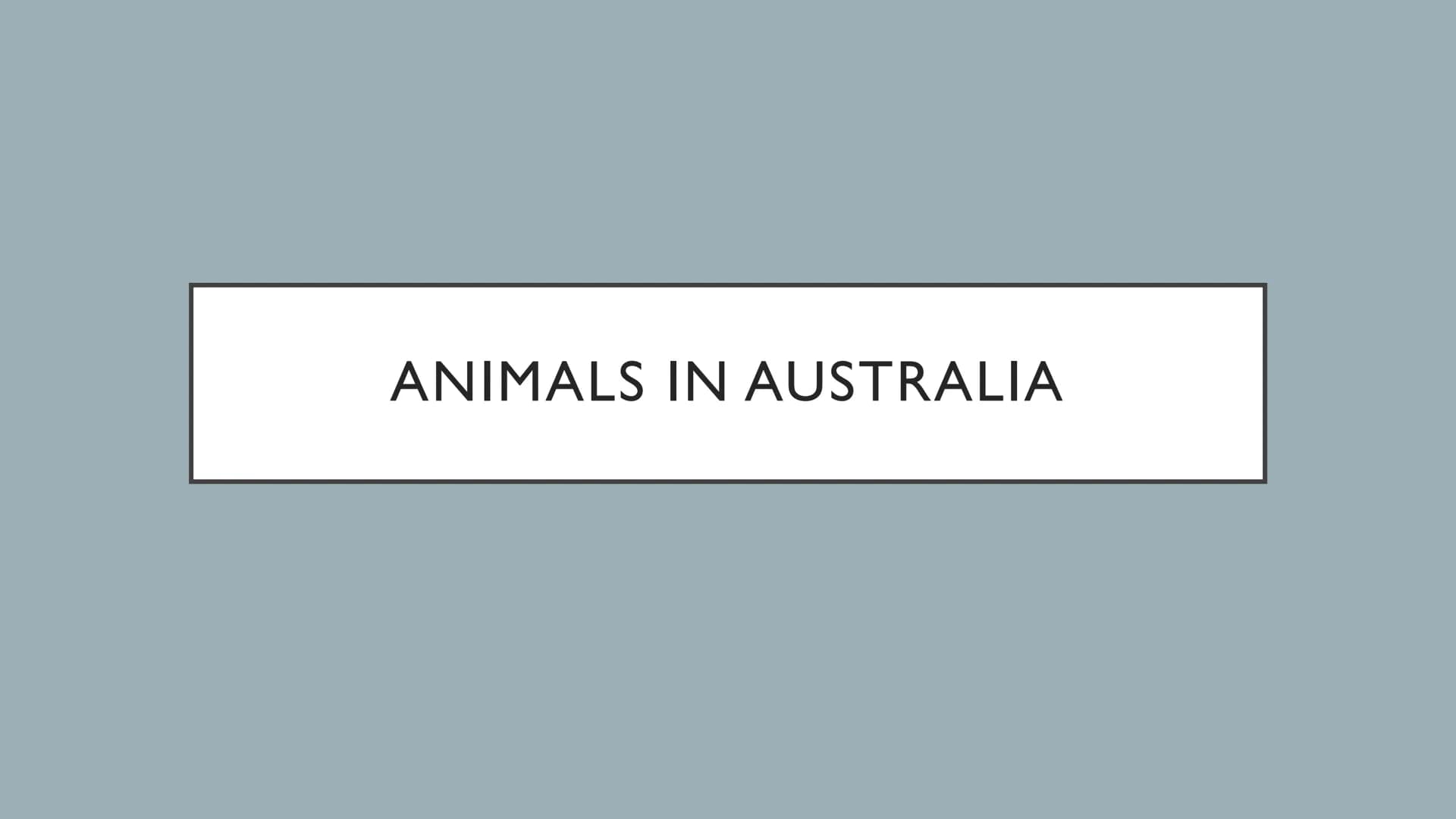 ANIMALS IN AUSTRALIA ANIMALS IN AUSTRALIA
• Habitat of the animals
●
• foes
• are these animals on the verge of extinction?
Thank you & fare