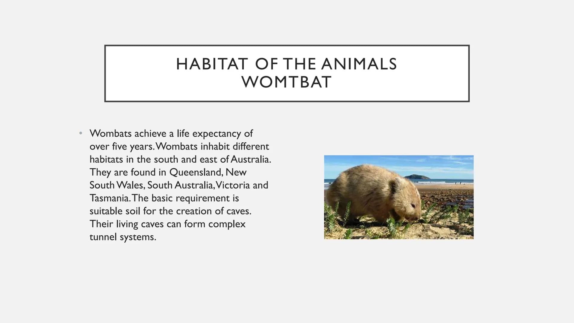 ANIMALS IN AUSTRALIA ANIMALS IN AUSTRALIA
• Habitat of the animals
●
• foes
• are these animals on the verge of extinction?
Thank you & fare