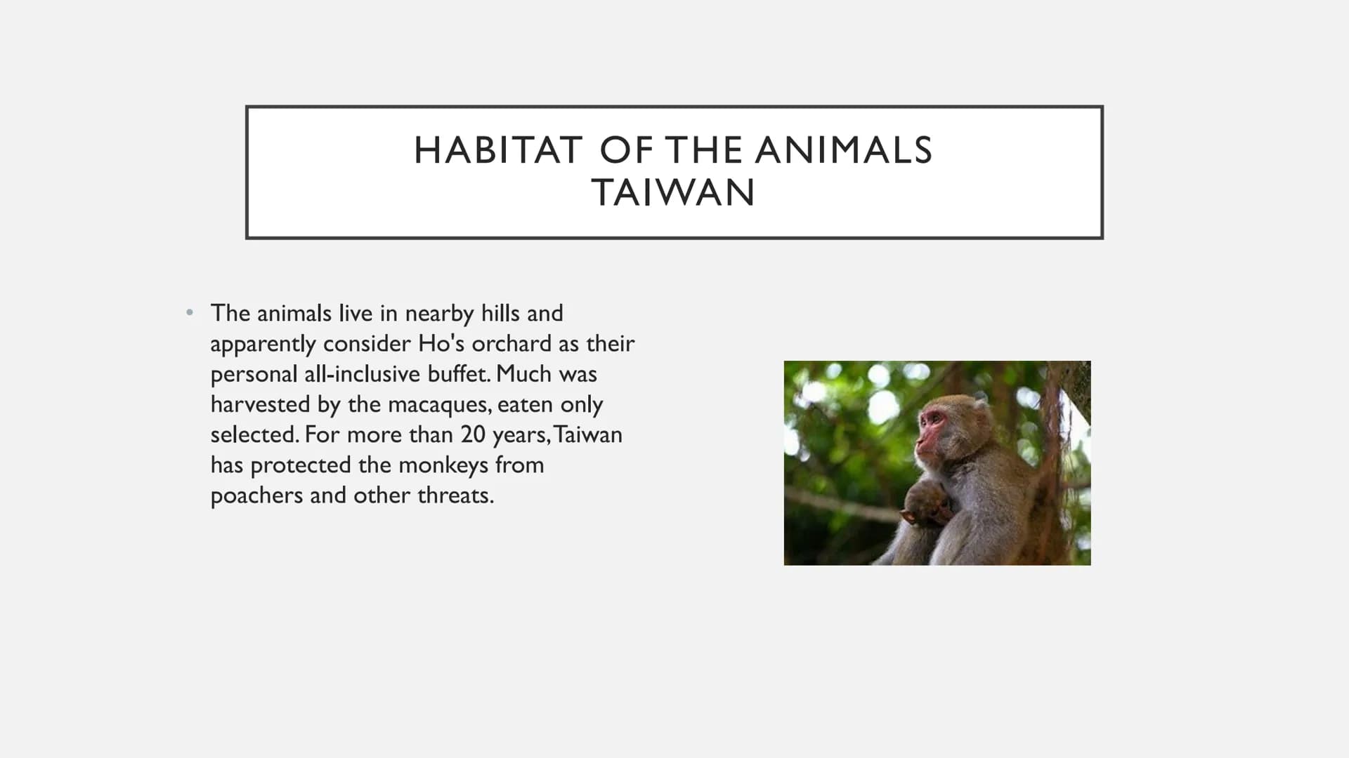 ANIMALS IN AUSTRALIA ANIMALS IN AUSTRALIA
• Habitat of the animals
●
• foes
• are these animals on the verge of extinction?
Thank you & fare