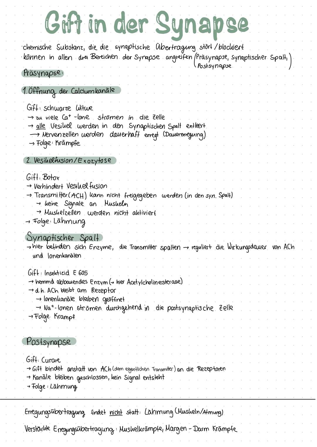 Inhaltsverzeichnis
S.1 Grundaufbau des Nervensystems
S.2-3 Aufbau und Funktion eines Neurons
S.4 Ruhepotenzial
S.5 Natrium - Kalium - Pumpe
