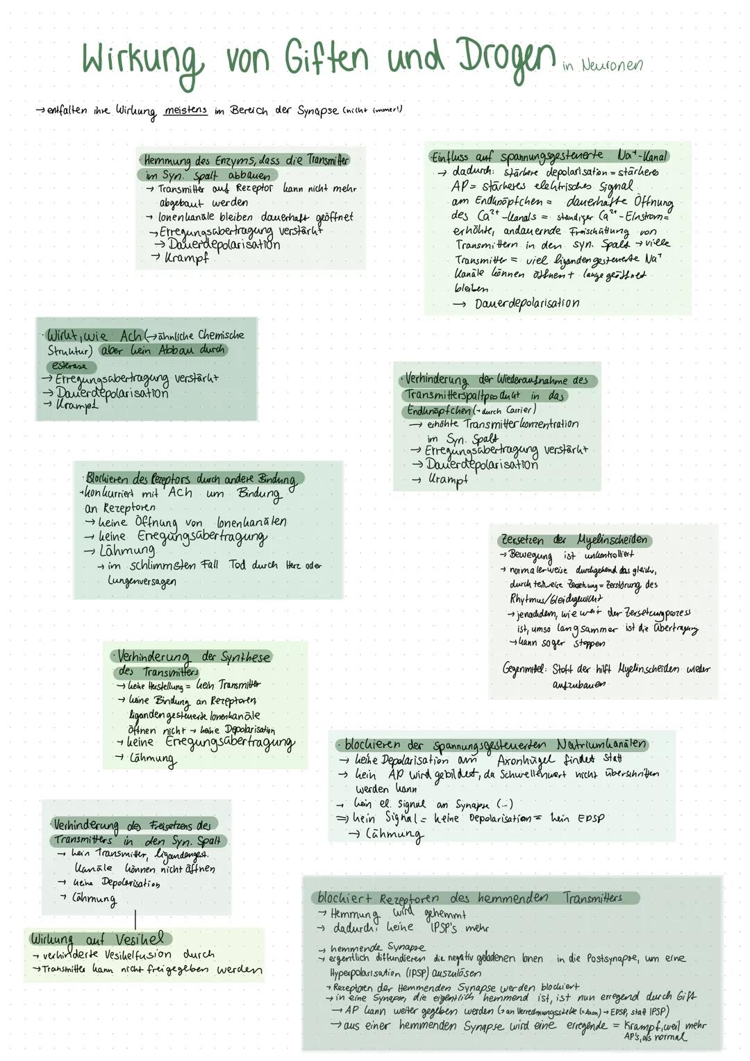 Inhaltsverzeichnis
S.1 Grundaufbau des Nervensystems
S.2-3 Aufbau und Funktion eines Neurons
S.4 Ruhepotenzial
S.5 Natrium - Kalium - Pumpe
