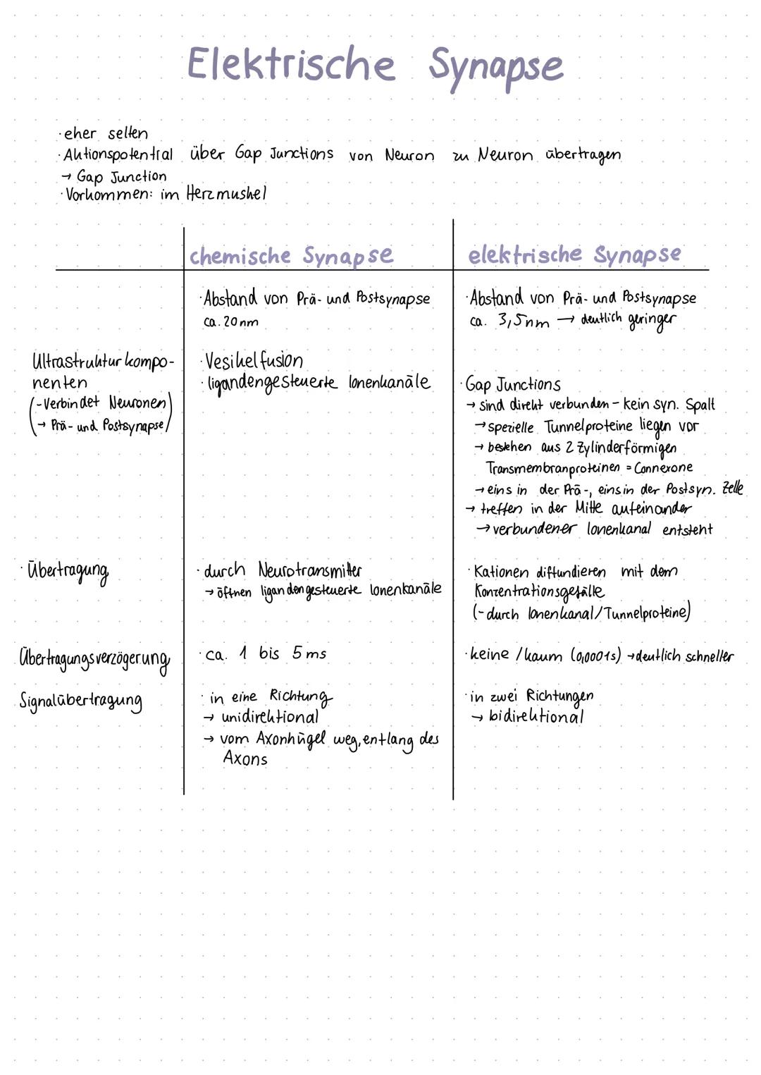 Inhaltsverzeichnis
S.1 Grundaufbau des Nervensystems
S.2-3 Aufbau und Funktion eines Neurons
S.4 Ruhepotenzial
S.5 Natrium - Kalium - Pumpe
