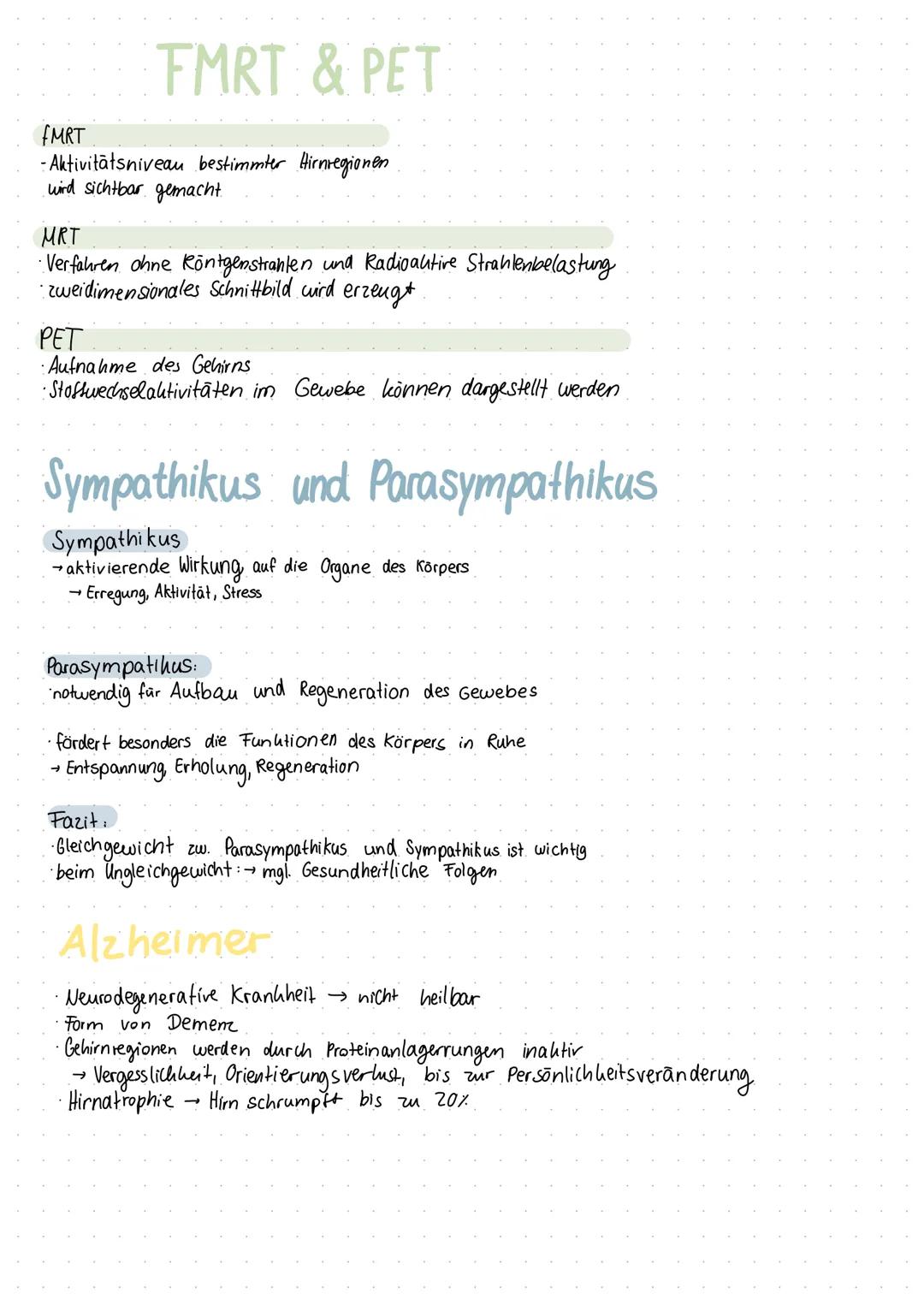 Inhaltsverzeichnis
S.1 Grundaufbau des Nervensystems
S.2-3 Aufbau und Funktion eines Neurons
S.4 Ruhepotenzial
S.5 Natrium - Kalium - Pumpe
