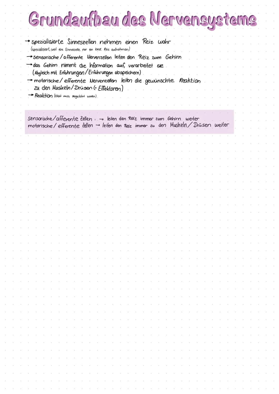 Inhaltsverzeichnis
S.1 Grundaufbau des Nervensystems
S.2-3 Aufbau und Funktion eines Neurons
S.4 Ruhepotenzial
S.5 Natrium - Kalium - Pumpe
