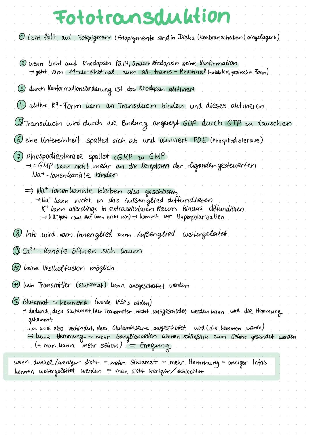 Inhaltsverzeichnis
S.1 Grundaufbau des Nervensystems
S.2-3 Aufbau und Funktion eines Neurons
S.4 Ruhepotenzial
S.5 Natrium - Kalium - Pumpe
