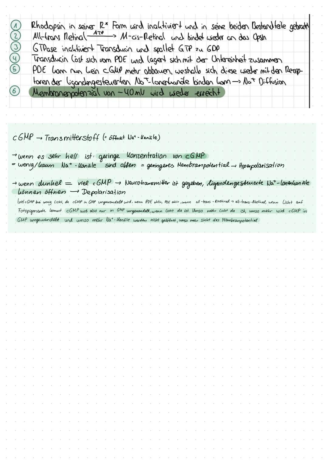 Inhaltsverzeichnis
S.1 Grundaufbau des Nervensystems
S.2-3 Aufbau und Funktion eines Neurons
S.4 Ruhepotenzial
S.5 Natrium - Kalium - Pumpe
