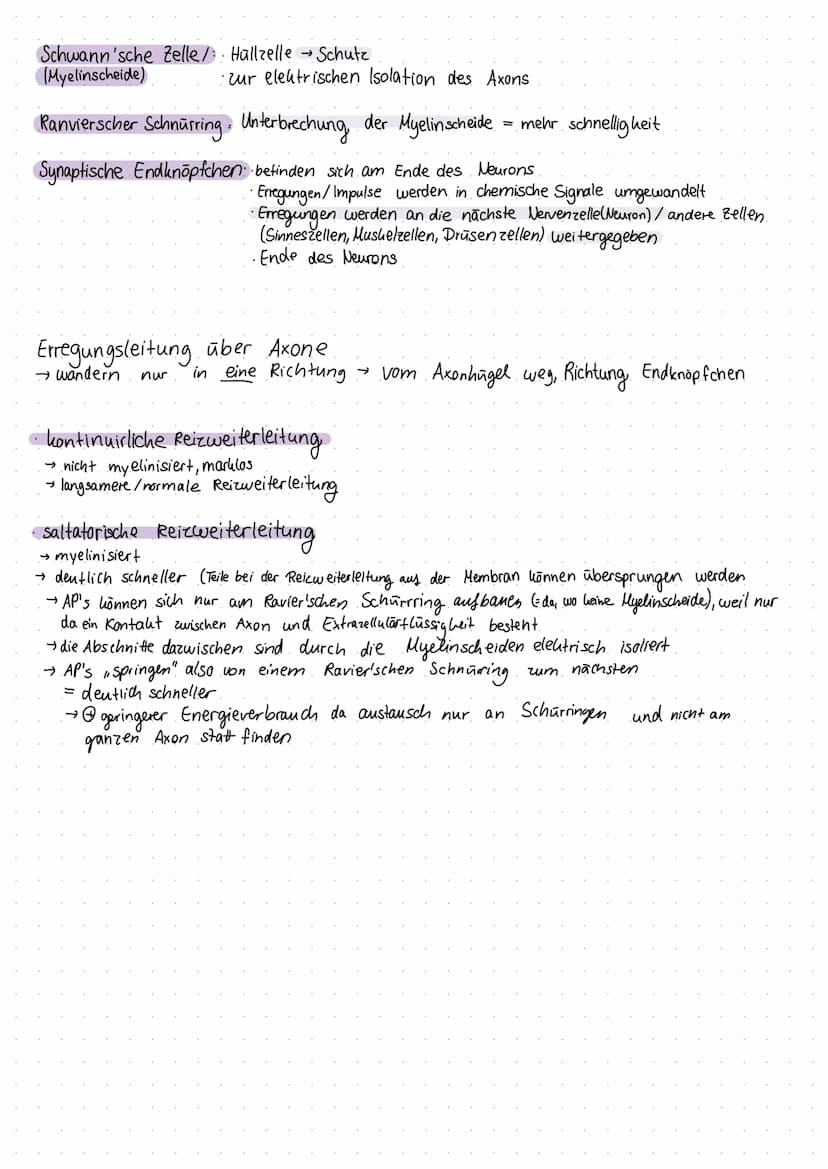 Inhaltsverzeichnis
S.1 Grundaufbau des Nervensystems
S.2-3 Aufbau und Funktion eines Neurons
S.4 Ruhepotenzial
S.5 Natrium - Kalium - Pumpe

