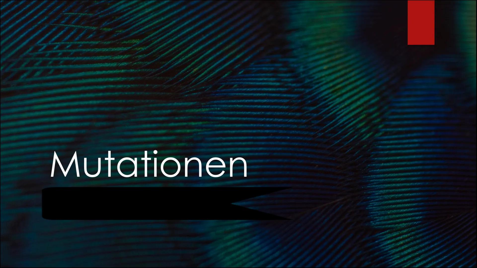 Mutationen Inhaltsverzeichnis
Definition von Mutation
▶ Was ist eine Mutation
► Ursache einer Mutation
Vererbte Mutationen
Mutationsarten
▶ 