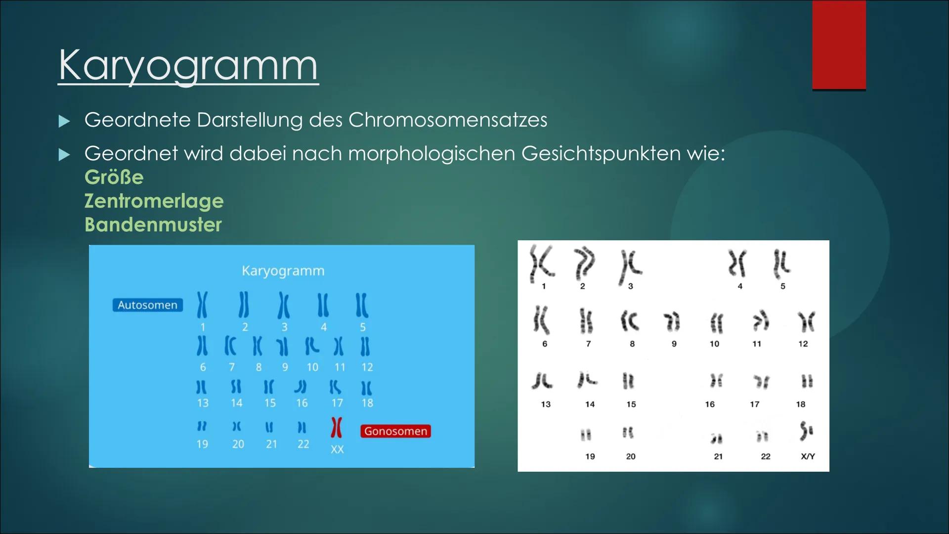 Mutationen Inhaltsverzeichnis
Definition von Mutation
▶ Was ist eine Mutation
► Ursache einer Mutation
Vererbte Mutationen
Mutationsarten
▶ 