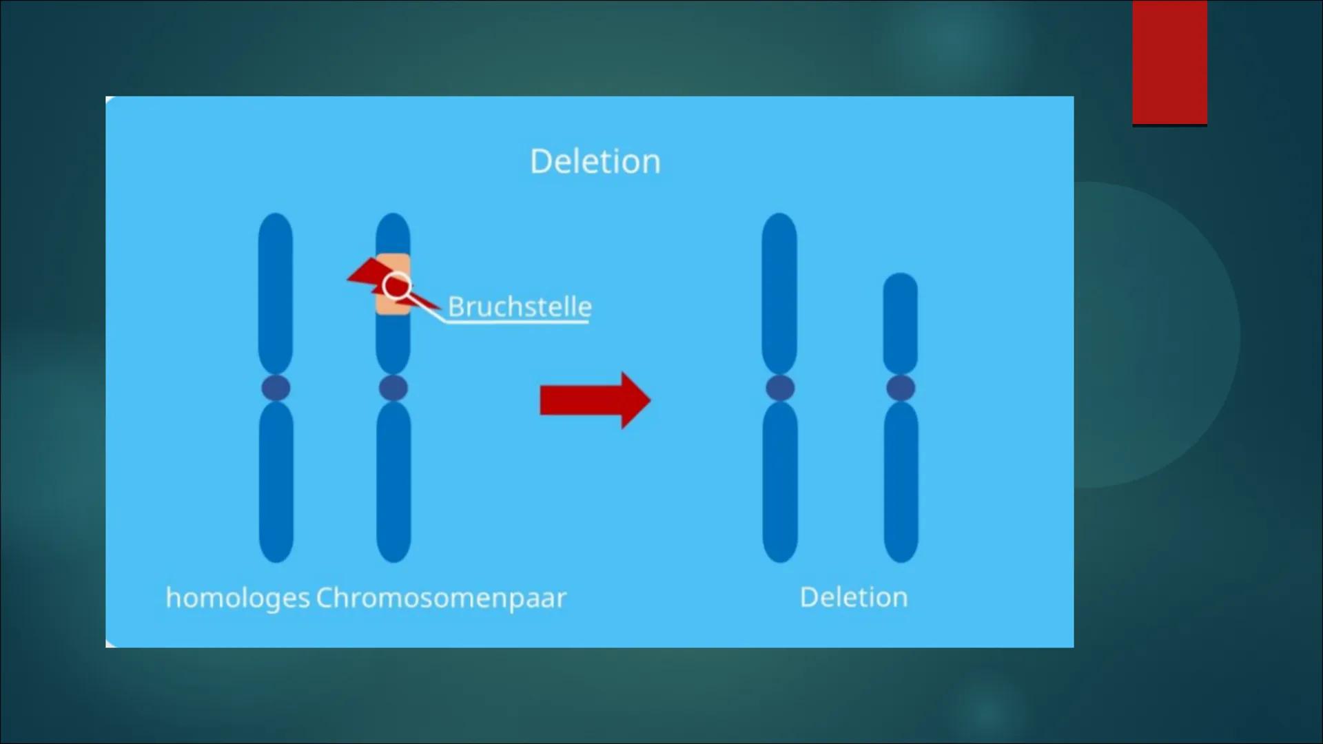 Mutationen Inhaltsverzeichnis
Definition von Mutation
▶ Was ist eine Mutation
► Ursache einer Mutation
Vererbte Mutationen
Mutationsarten
▶ 