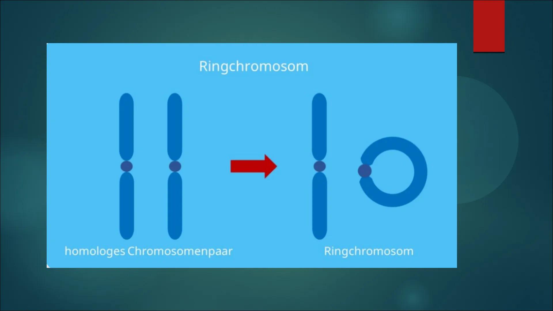 Mutationen Inhaltsverzeichnis
Definition von Mutation
▶ Was ist eine Mutation
► Ursache einer Mutation
Vererbte Mutationen
Mutationsarten
▶ 