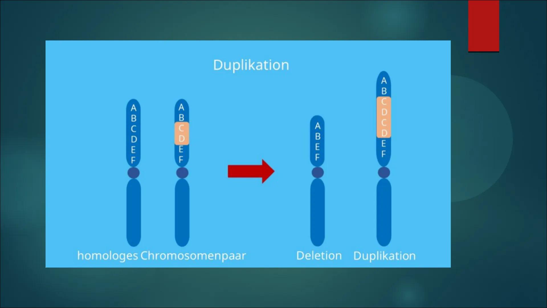 Mutationen Inhaltsverzeichnis
Definition von Mutation
▶ Was ist eine Mutation
► Ursache einer Mutation
Vererbte Mutationen
Mutationsarten
▶ 