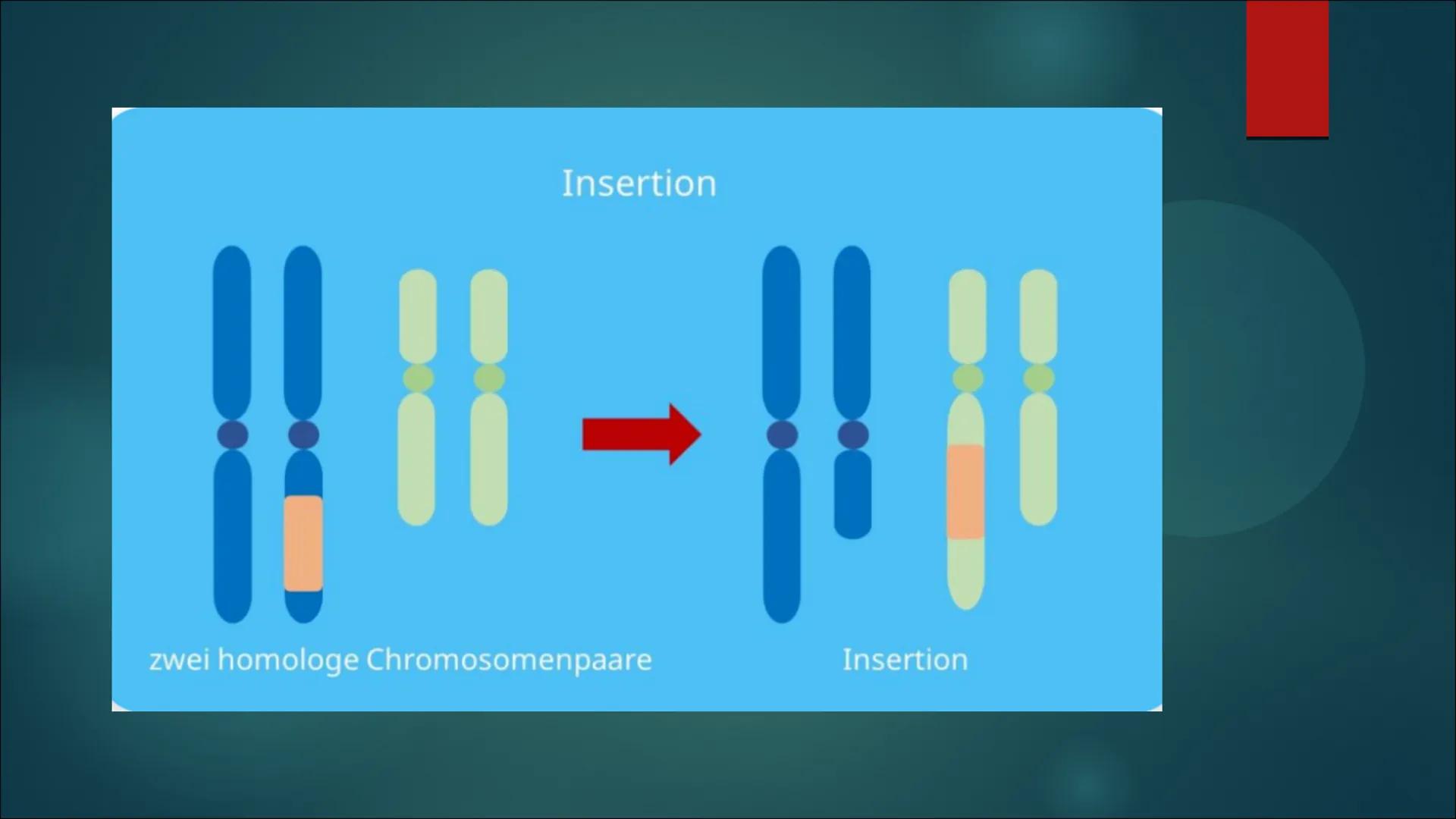 Mutationen Inhaltsverzeichnis
Definition von Mutation
▶ Was ist eine Mutation
► Ursache einer Mutation
Vererbte Mutationen
Mutationsarten
▶ 