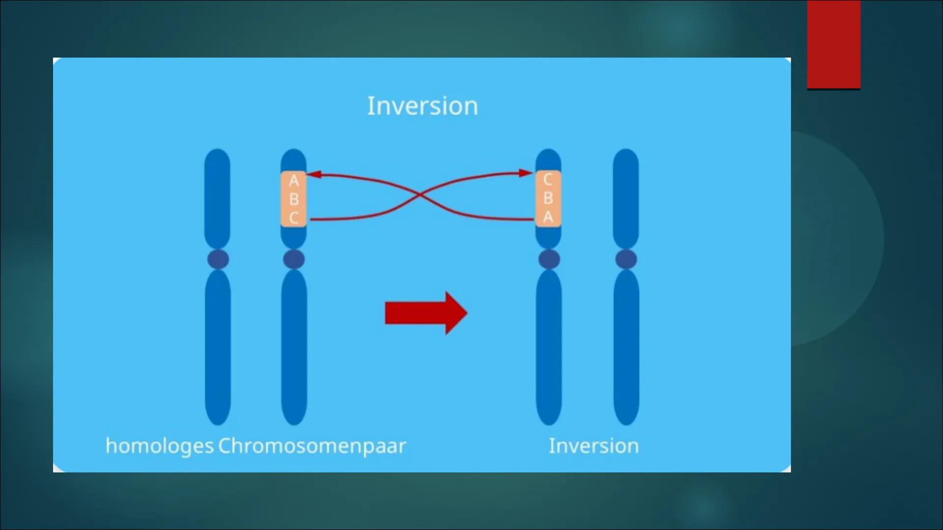 Mutationen Inhaltsverzeichnis
Definition von Mutation
▶ Was ist eine Mutation
► Ursache einer Mutation
Vererbte Mutationen
Mutationsarten
▶ 