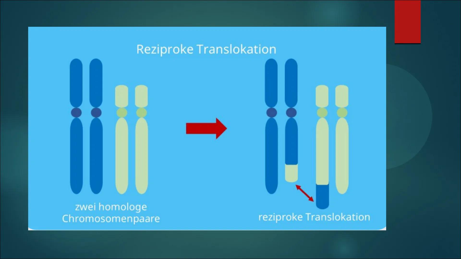 Mutationen Inhaltsverzeichnis
Definition von Mutation
▶ Was ist eine Mutation
► Ursache einer Mutation
Vererbte Mutationen
Mutationsarten
▶ 