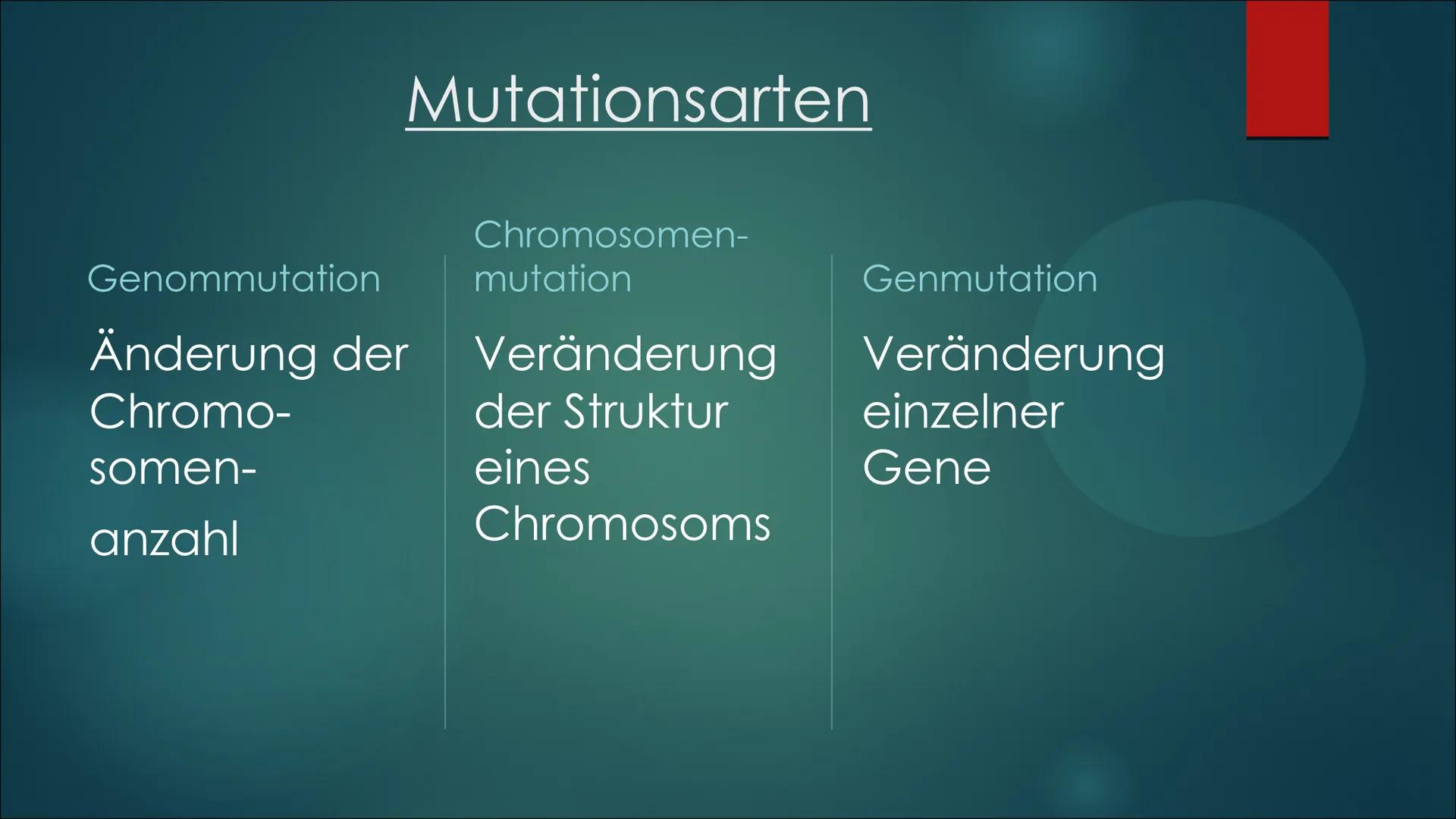 Mutationen Inhaltsverzeichnis
Definition von Mutation
▶ Was ist eine Mutation
► Ursache einer Mutation
Vererbte Mutationen
Mutationsarten
▶ 