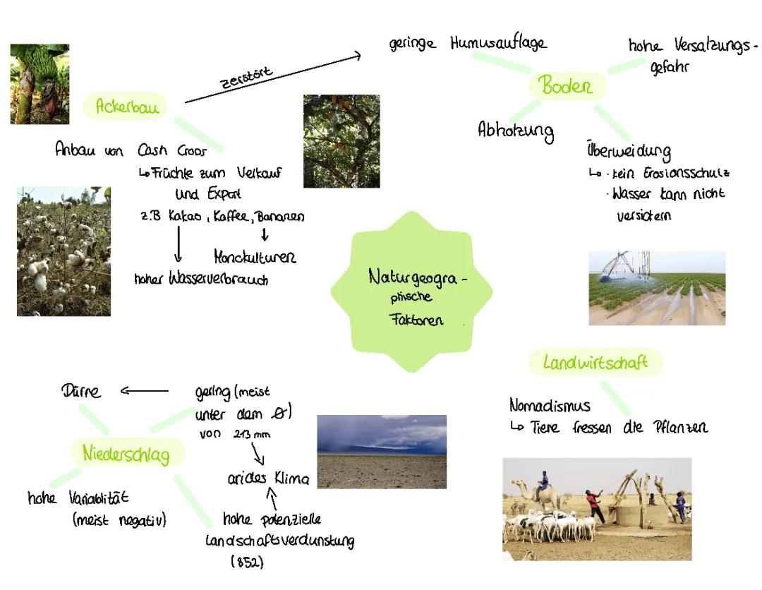 Warum die Wüste wächst: Desertifikation und Bodenerosion verstehen