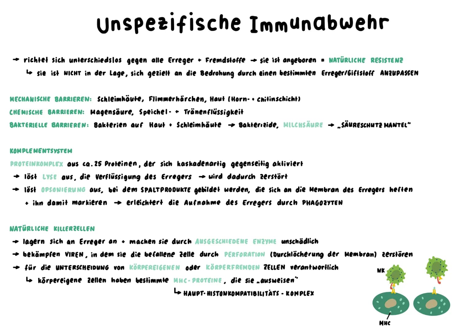 Unspezifische Immunabwehr
→ richtet sich unterschiedslos gegen alle Erreger +Fremdstoffe → sie ist angeboren = NATÜRLICHE RESISTENZ
↳sie ist