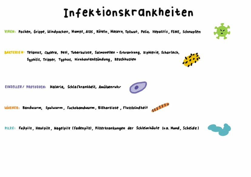 Unspezifische Immunabwehr
→ richtet sich unterschiedslos gegen alle Erreger +Fremdstoffe → sie ist angeboren = NATÜRLICHE RESISTENZ
↳sie ist