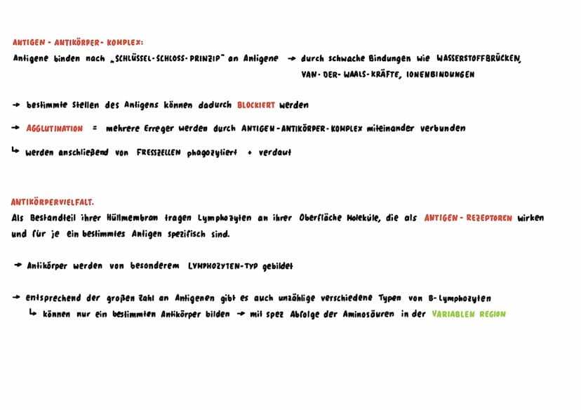Unspezifische Immunabwehr
→ richtet sich unterschiedslos gegen alle Erreger +Fremdstoffe → sie ist angeboren = NATÜRLICHE RESISTENZ
↳sie ist