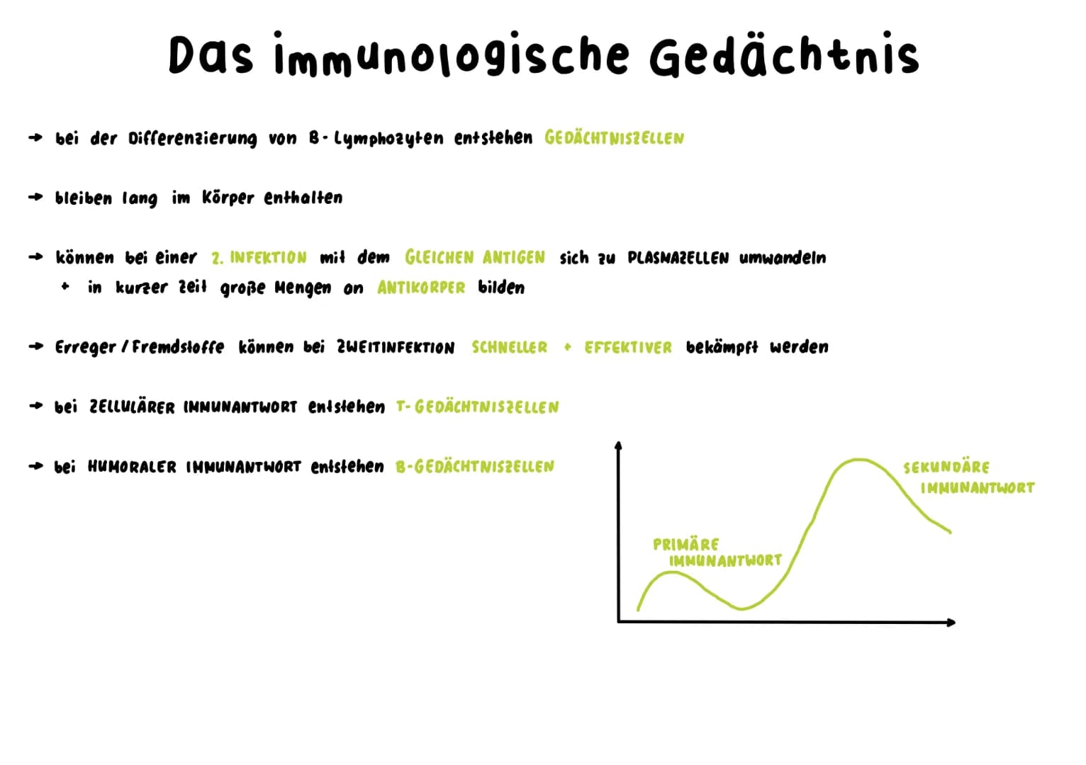 Unspezifische Immunabwehr
→ richtet sich unterschiedslos gegen alle Erreger +Fremdstoffe → sie ist angeboren = NATÜRLICHE RESISTENZ
↳sie ist