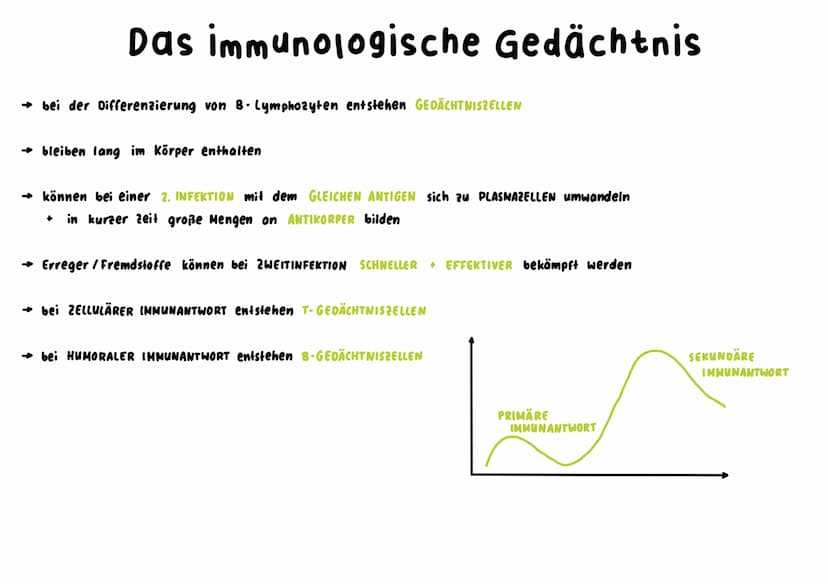 Unspezifische Immunabwehr
→ richtet sich unterschiedslos gegen alle Erreger +Fremdstoffe → sie ist angeboren = NATÜRLICHE RESISTENZ
↳sie ist