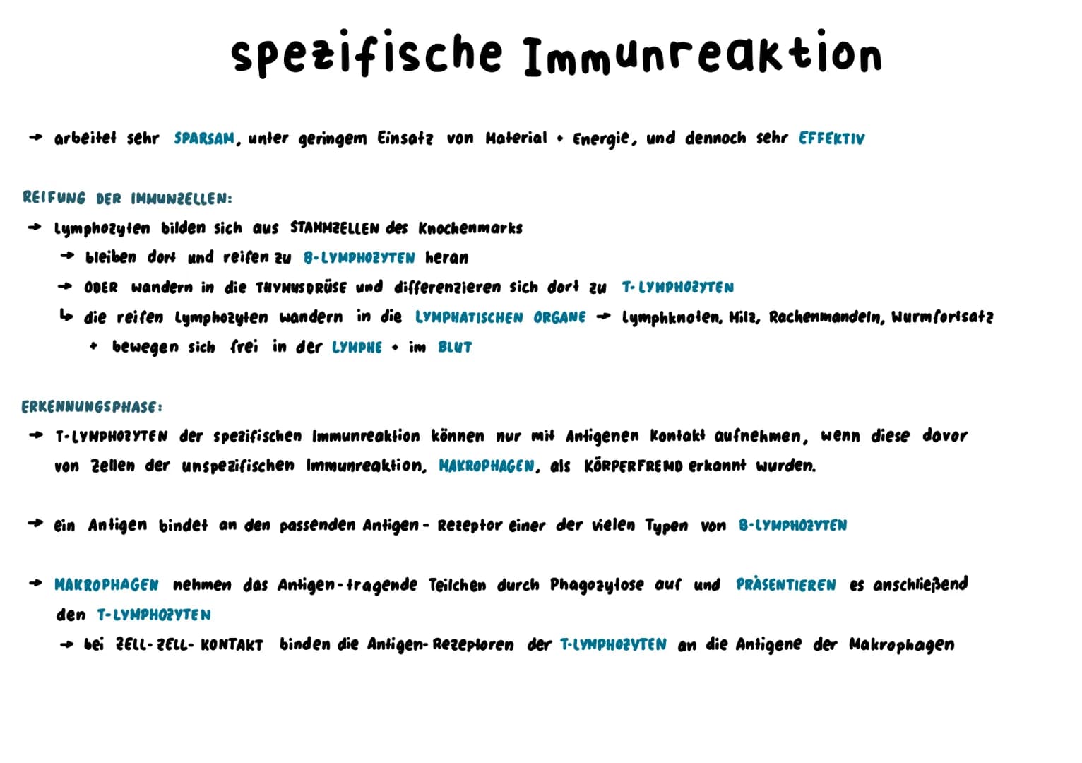 Unspezifische Immunabwehr
→ richtet sich unterschiedslos gegen alle Erreger +Fremdstoffe → sie ist angeboren = NATÜRLICHE RESISTENZ
↳sie ist