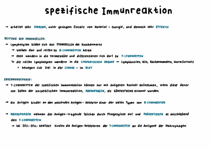 Unspezifische Immunabwehr
→ richtet sich unterschiedslos gegen alle Erreger +Fremdstoffe → sie ist angeboren = NATÜRLICHE RESISTENZ
↳sie ist