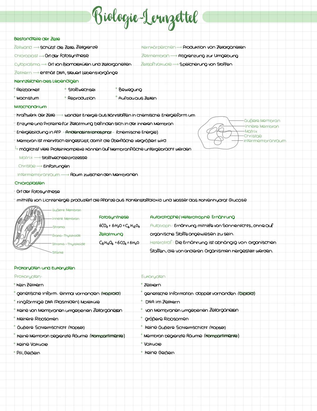 Cytologie-Lernzettel 