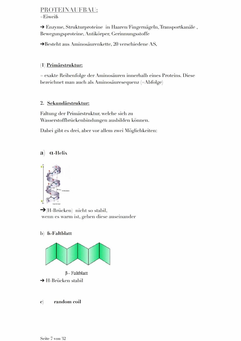 ÖKOLOGIE
Die Ökologie (= ungestörter Haushalt der Natur) ist eine Wissenschaft,
welche die Wechselbeziehung von Lebewesen und ihrer Umwelt
e