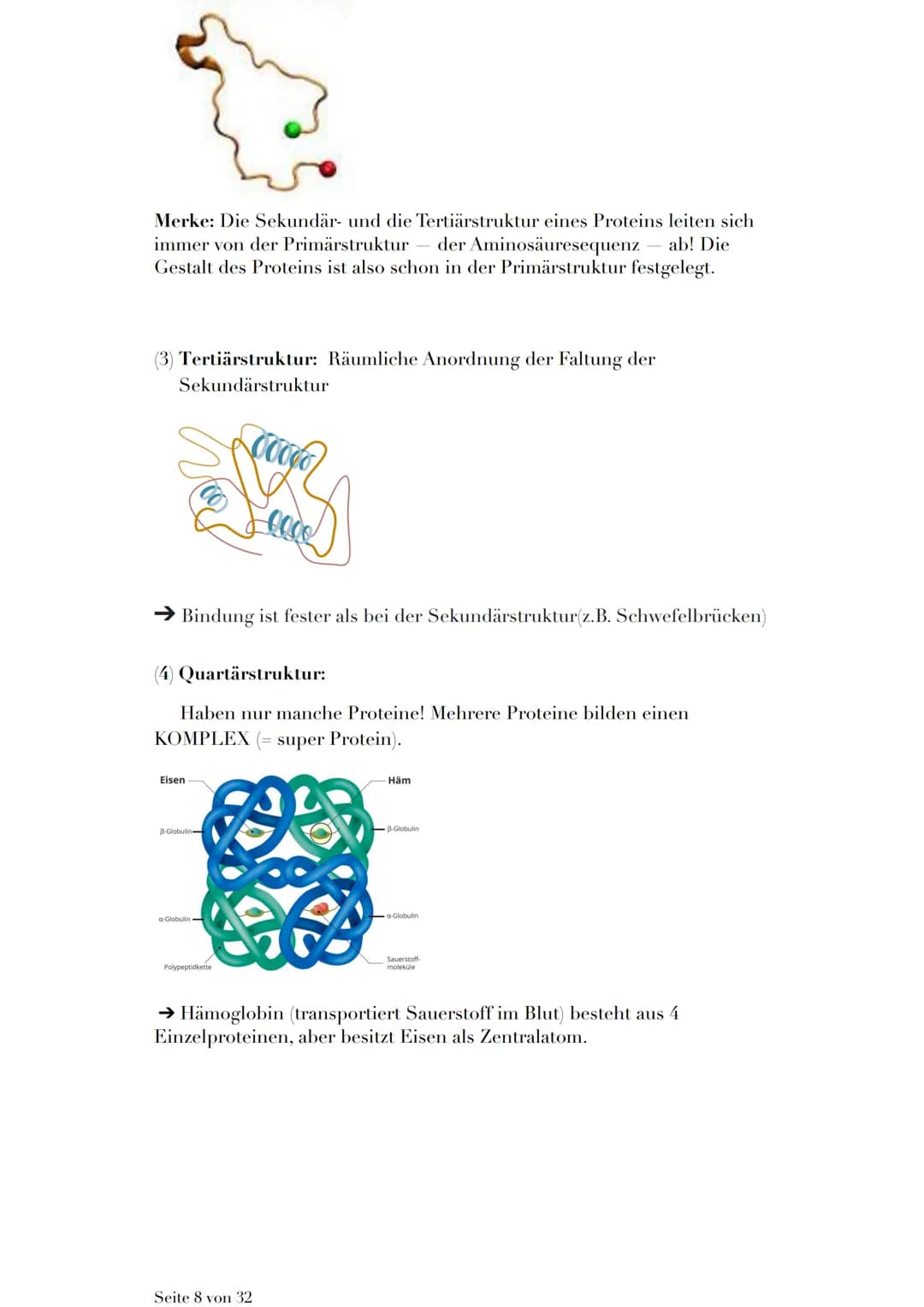 ÖKOLOGIE
Die Ökologie (= ungestörter Haushalt der Natur) ist eine Wissenschaft,
welche die Wechselbeziehung von Lebewesen und ihrer Umwelt
e