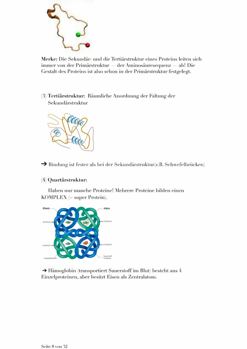 ÖKOLOGIE
Die Ökologie (= ungestörter Haushalt der Natur) ist eine Wissenschaft,
welche die Wechselbeziehung von Lebewesen und ihrer Umwelt
e