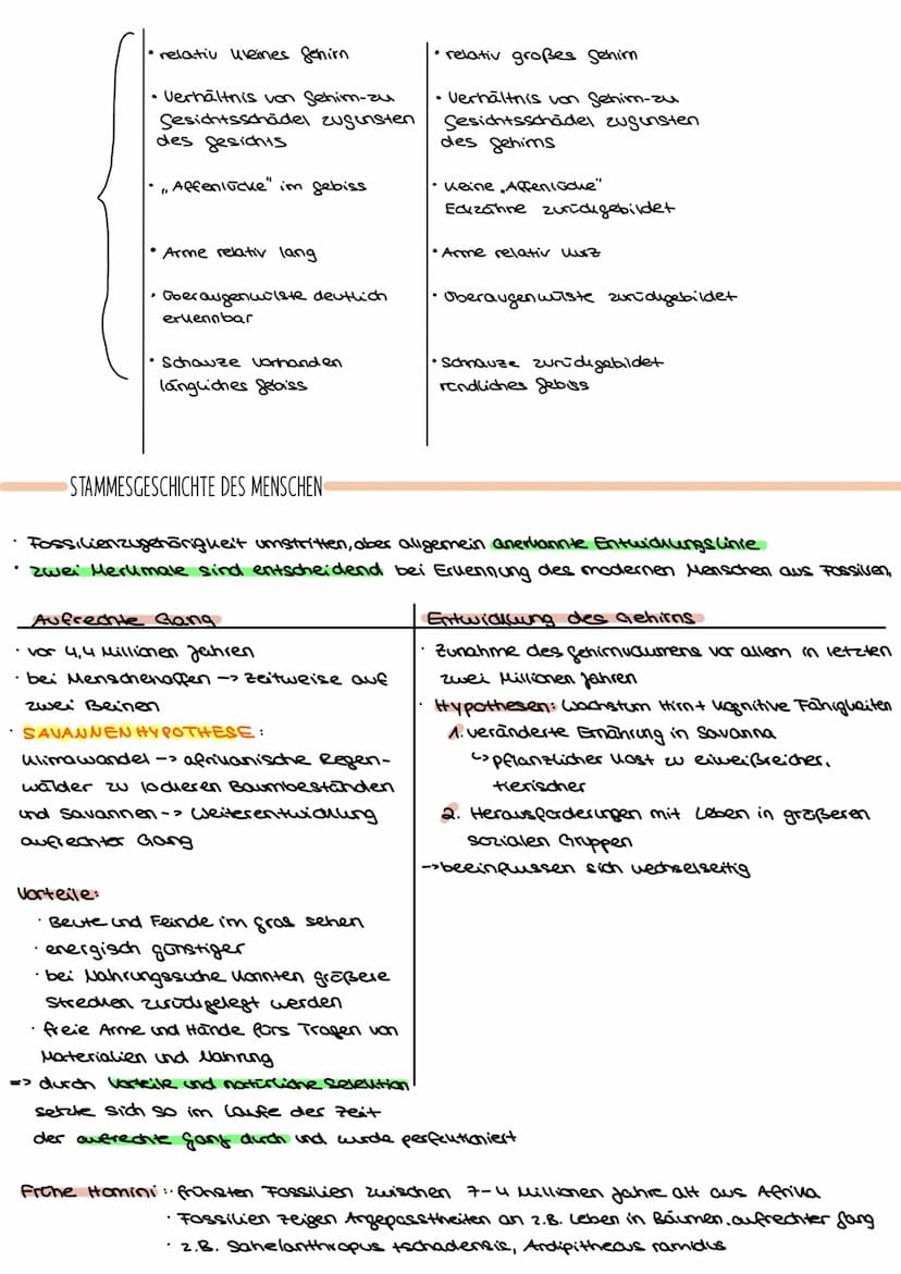 EVOLUTION:alle Prozesse, die zur Entstehung des Lebens in seiner heutigen Form und Vielfalt gefütert haben
L>Änderung der Allelhäufigkeit im