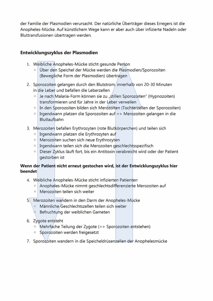 Übersicht - Parasitismus (am Bsp. Malaria)
Glossar - Parasitismus
Fachbegriff
Parasitismus
Obligater Parasitismus
Raubparasiten/
Parasitoide