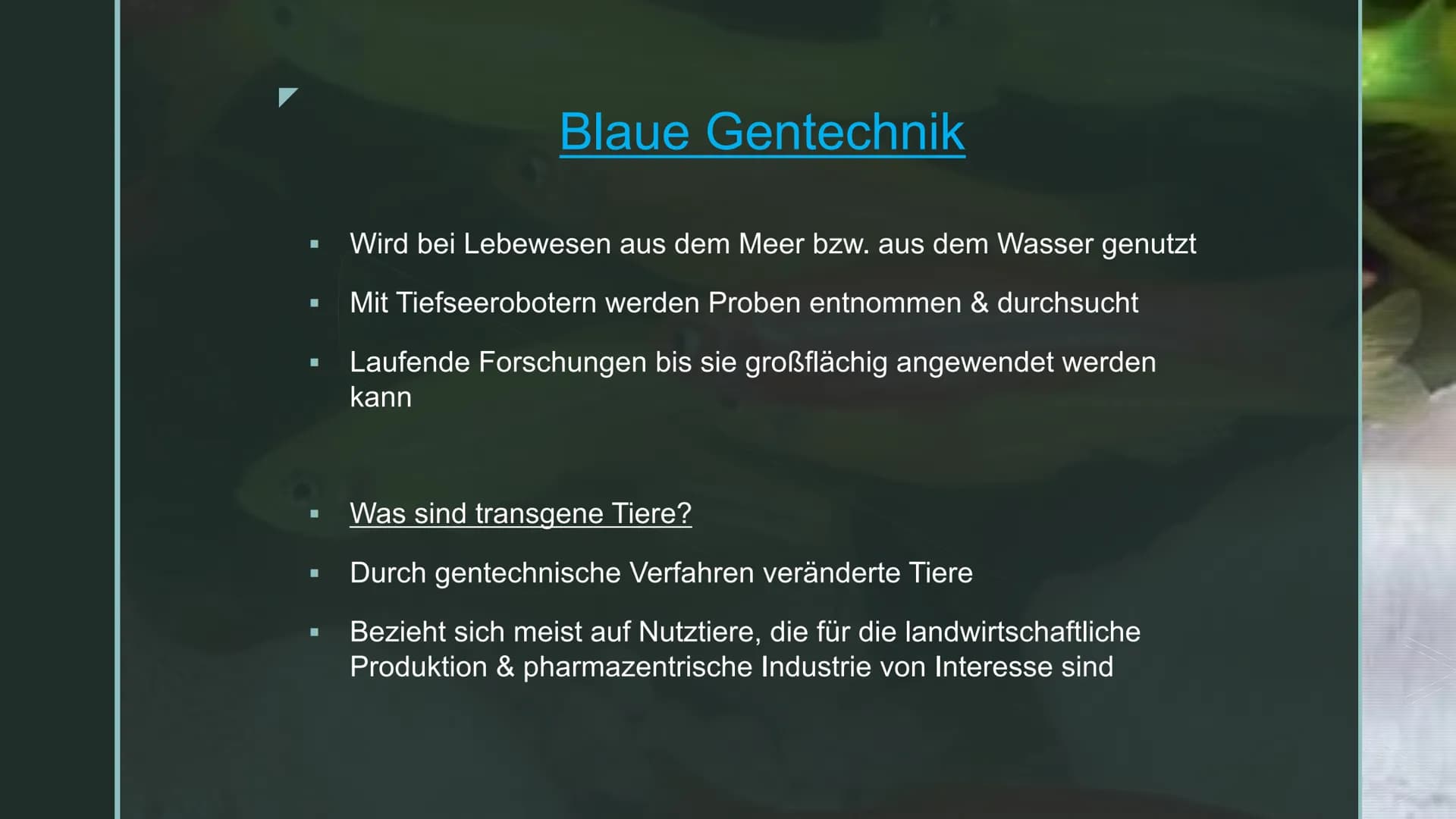 Gentechnik
Dürfen wir, was wir können?
D ■
■
■
Gliederung
Definition Gentechnik
Anwendungsbereiche & Beispiele
Genetische Grundoperationen
V