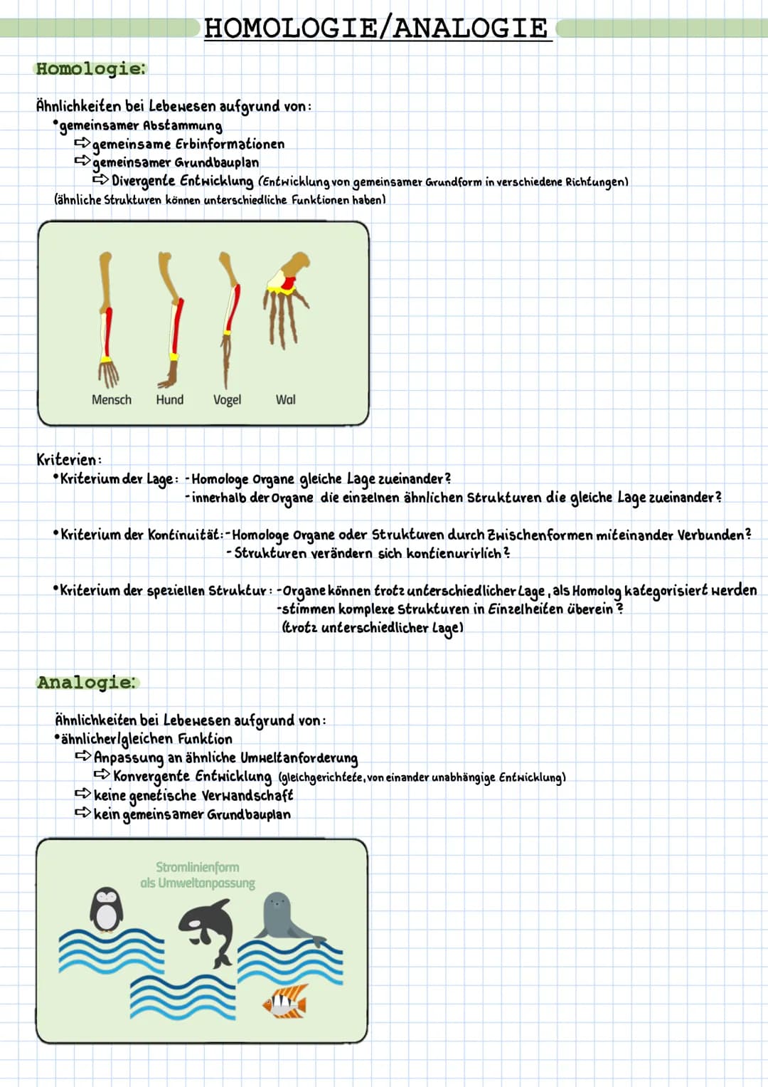HOMOLOGIE/ANALOGIE
Homologie:
Ähnlichkeiten bei Lebewesen aufgrund von:
gemeinsamer Abstammung
➡ gemeinsame Erbinformationen
gemeinsamer Gru