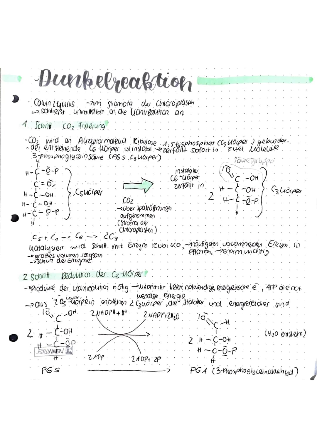 Stoff-tenergie wedersel
-Summe der chemischen Ablaute in einem Organismus → Stoffwechsel (Metabolismus)
a) Betriebsstoffwechsel zur Bereitst