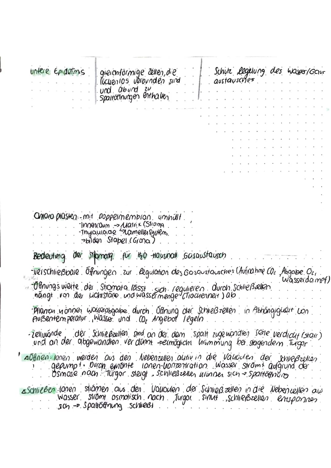 Stoff-tenergie wedersel
-Summe der chemischen Ablaute in einem Organismus → Stoffwechsel (Metabolismus)
a) Betriebsstoffwechsel zur Bereitst