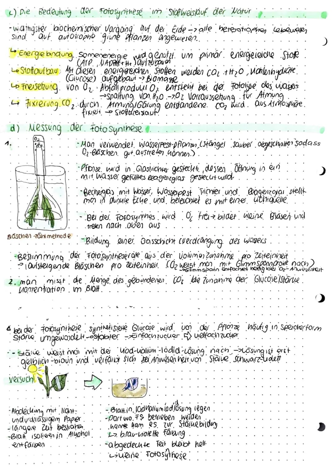 Stoff-tenergie wedersel
-Summe der chemischen Ablaute in einem Organismus → Stoffwechsel (Metabolismus)
a) Betriebsstoffwechsel zur Bereitst