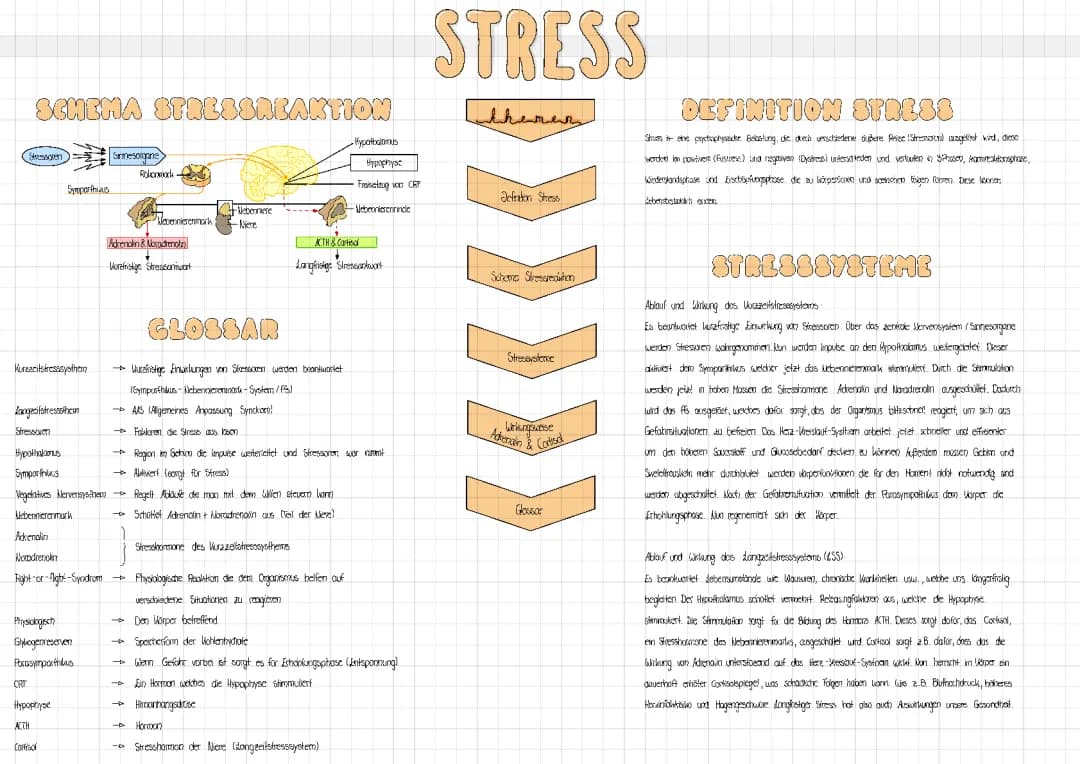 Biologie Thema: Stress