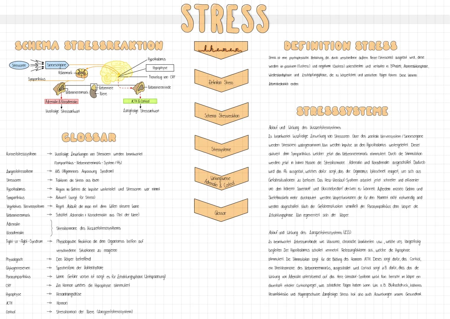 SCHEMA STRESSREAKTION
Stressoren
Kurzzeitstresssysthem
Langzeitstresssthem
Stressoren
Hypothalamus
Symparthikus
Symparthikus
Adrenalin
Norad