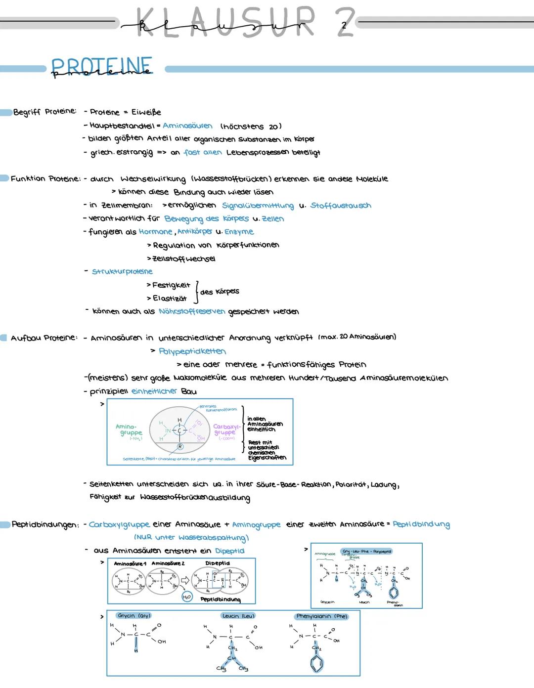 KLAUSUR 2
PROTEINE
Begriff Proteine: - Proteine Eiweiße
- Hauptbestandteil = Aminosäuren (höchstens 20)
- bilden größten Anteil aller organi